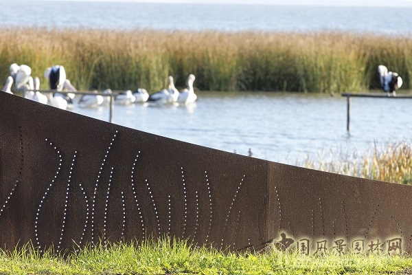 澳大利亞梅寧吉鎮湖畔棲息地修復項目