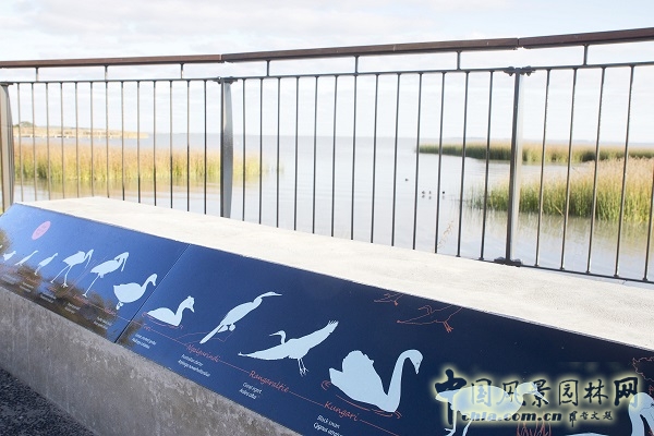 澳大利亞梅寧吉鎮(zhèn)湖畔棲息地修復(fù)項目