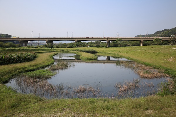 案例賞析：臺灣桃園市大嵙崁人工濕地