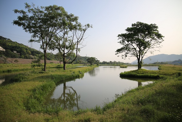 案例賞析：臺灣桃園市大嵙崁人工濕地