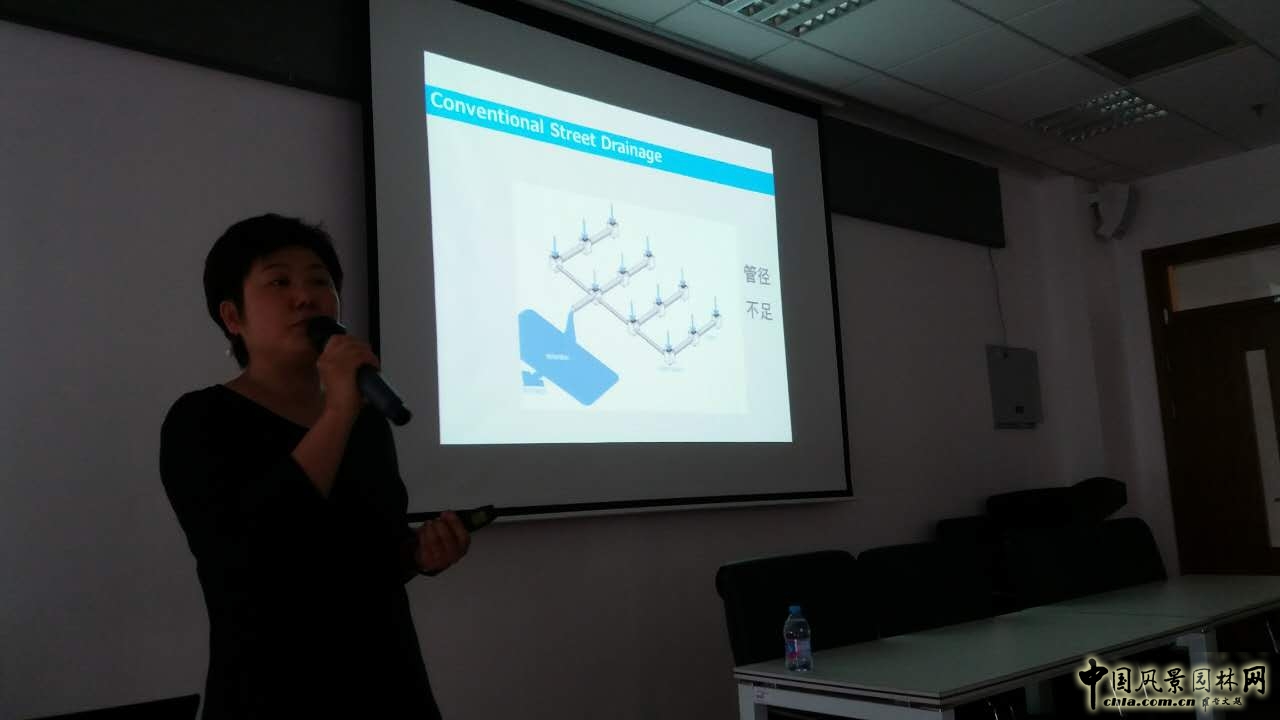 羅青:經(jīng)典美國(guó)城市環(huán)境中的雨水管理設(shè)計(jì)