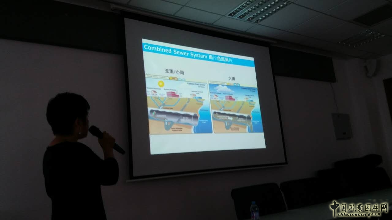 羅青:經(jīng)典美國(guó)城市環(huán)境中的雨水管理設(shè)計(jì)