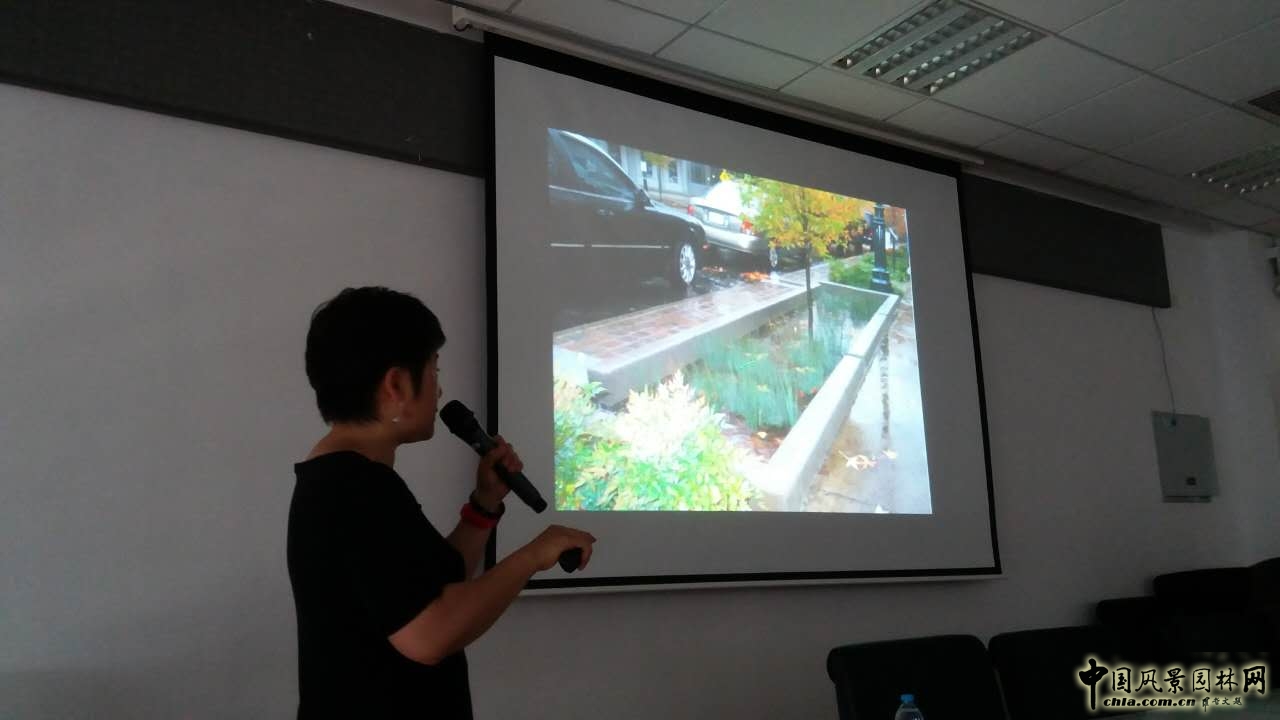 羅青：經(jīng)典美國城市環(huán)境中的雨水管理設(shè)計