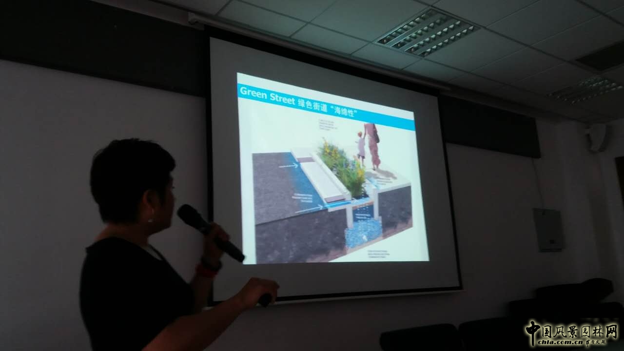 羅青：經(jīng)典美國城市環(huán)境中的雨水管理設(shè)計