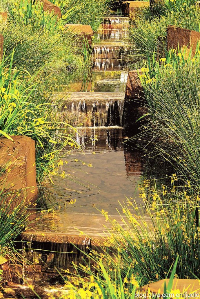 羅青：經典美國城市環境中的雨水管理設計