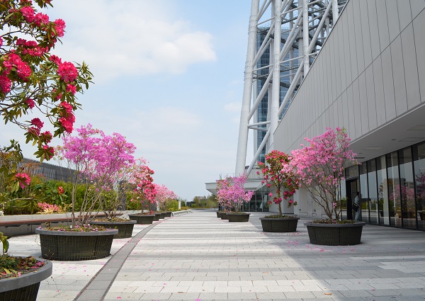 案例賞析：東京晴空塔小鎮