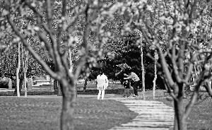 北京總規(guī)首次轉(zhuǎn)為減量 倒逼城市功能調(diào)整