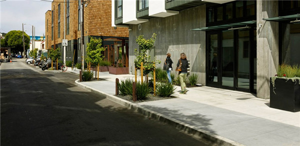 2015ASLA住宅設計類榮譽獎:300Ivy