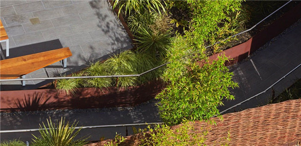 2015ASLA住宅設計類榮譽獎:300Ivy