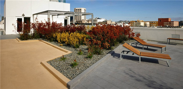 2015ASLA住宅設計類榮譽獎:300Ivy