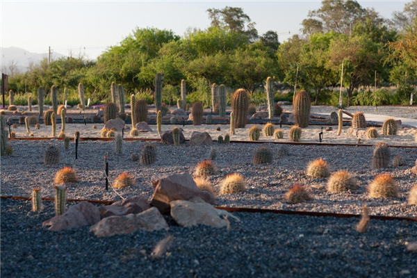 智利：QUILAPILUN公園景觀設計