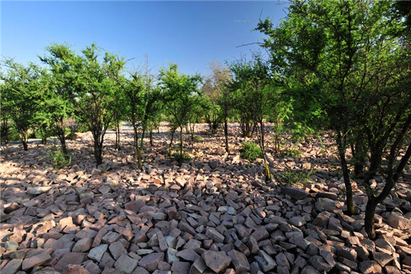 智利：QUILAPILUN公園景觀設計