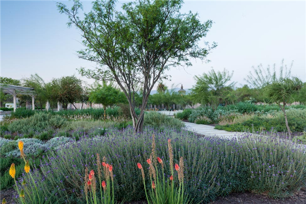 智利：QUILAPILUN公園景觀設計