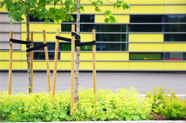 Gjerdrum高中校園景觀設計