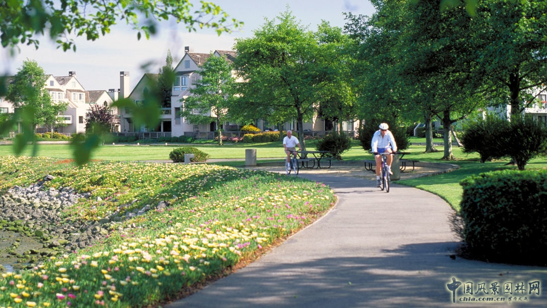 SWA:美國加利福尼亞阿拉米達碼頭村