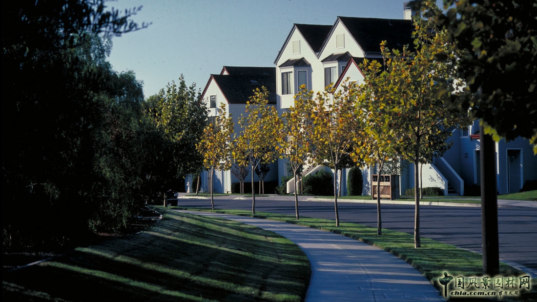 SWA:美國加利福尼亞阿拉米達碼頭村