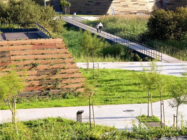 西班牙坎塔布裏亞桑坦德濕地公園