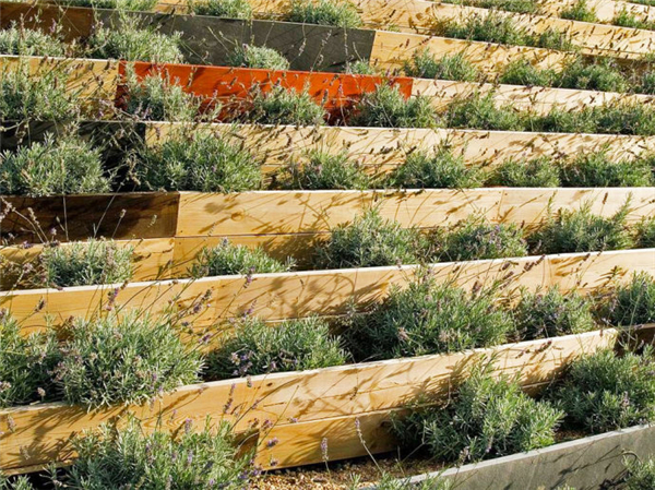 西班牙坎塔布裏亞桑坦德濕地公園