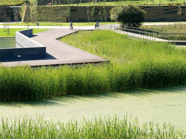 西班牙坎塔布裏亞桑坦德濕地公園