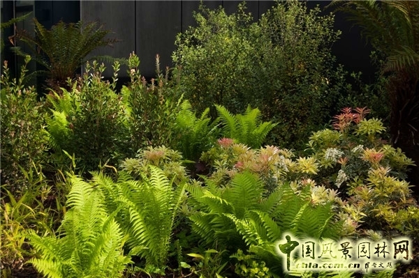 倫敦Crossrail車站屋頂花園景觀設計