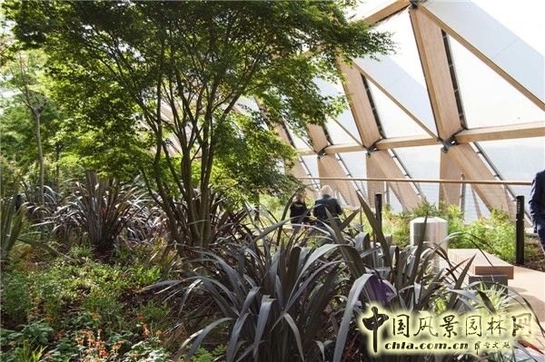 倫敦Crossrail車站屋頂花園景觀設計