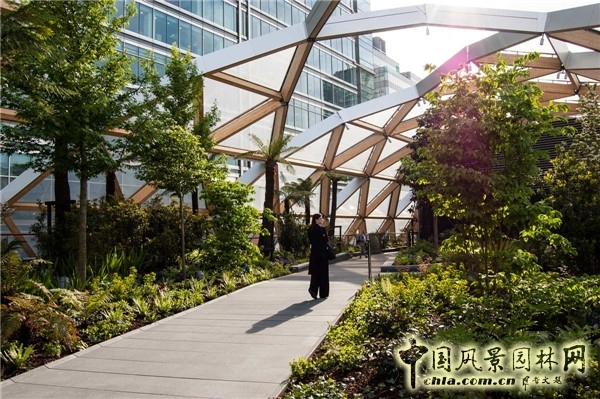 倫敦Crossrail車站屋頂花園景觀設(shè)計(jì)