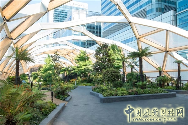 倫敦Crossrail車站屋頂花園景觀設(shè)計(jì)