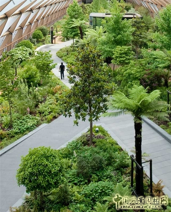 倫敦Crossrail車站屋頂花園景觀設計