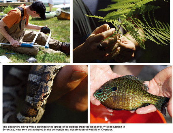 Overlook農場總體規劃