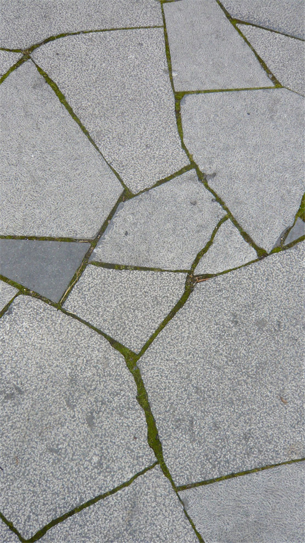 法國里昂巨人花園景觀設計(組圖)