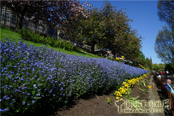 “靜心的游憩”——愛丁堡王子街公園