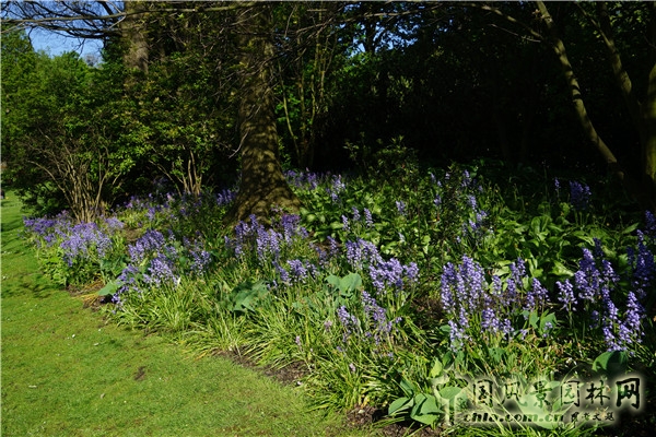 “靜心的游憩”——愛丁堡王子街公園