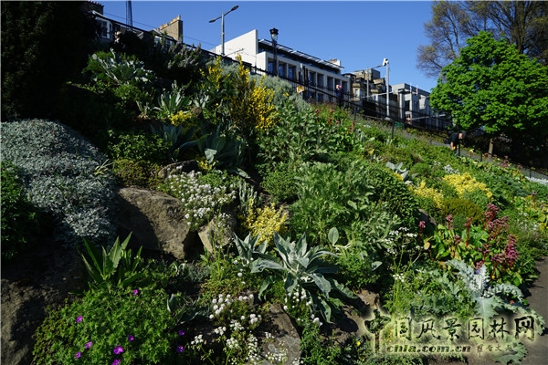 “靜心的游憩”——愛丁堡王子街公園