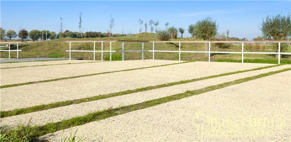 圣尼古拉市CLEMENTWIJK住區景觀設計