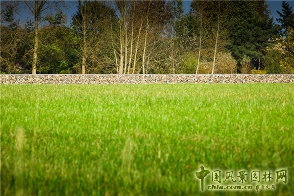 圣尼古拉市CLEMENTWIJK住區景觀設計