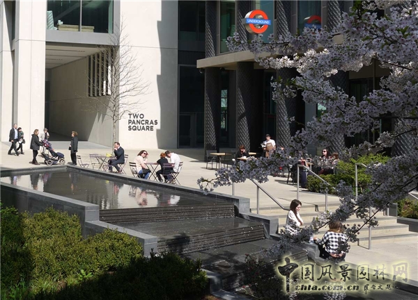 英國倫敦潘克拉斯廣場景觀設計