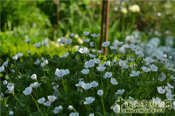 西辛赫斯特城堡之白色花園