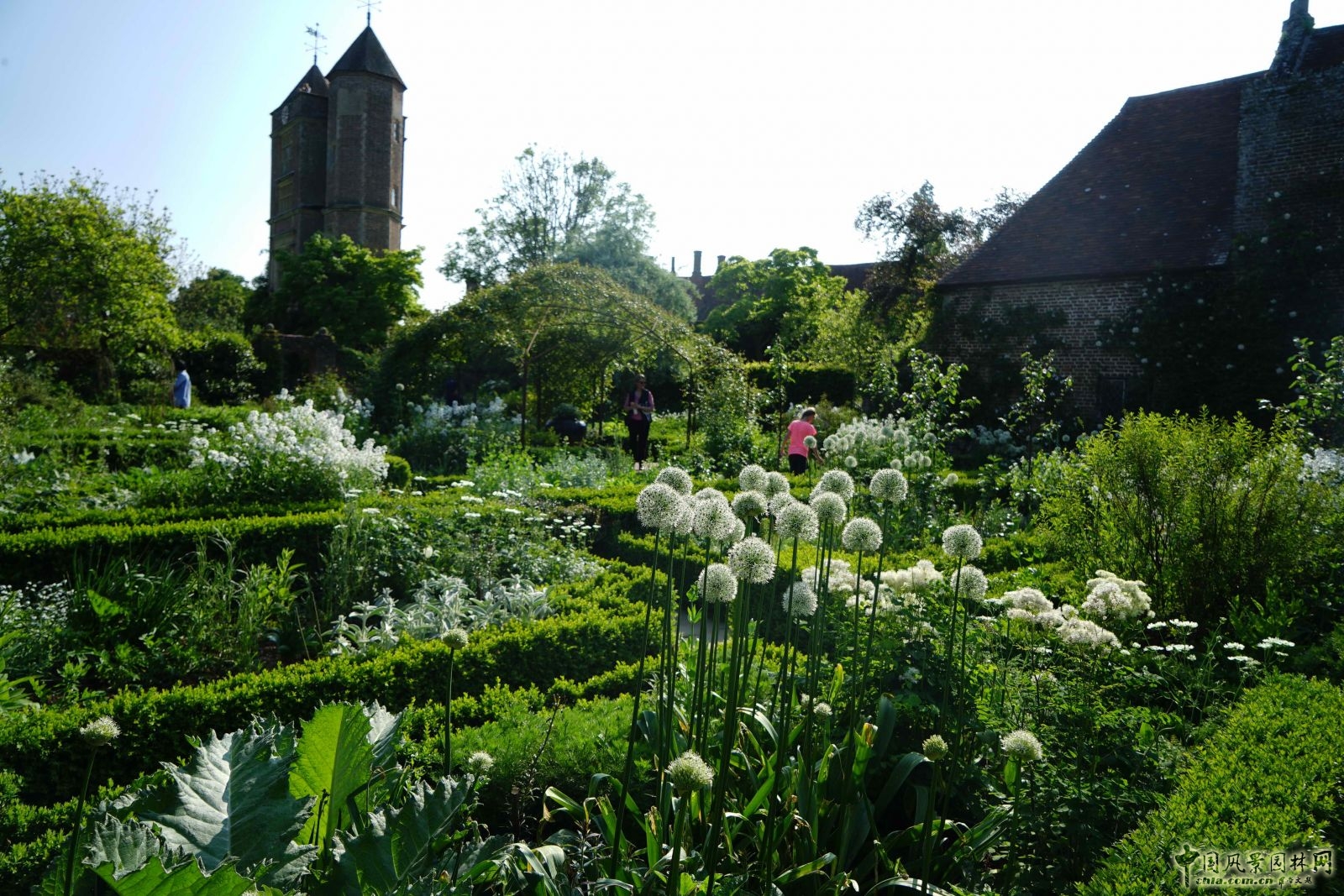 西辛赫斯特城堡之白色花園