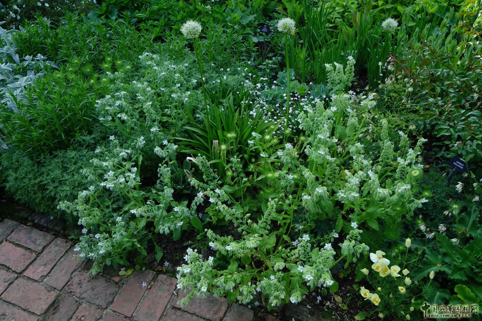 西辛赫斯特城堡之白色花園