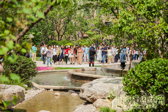 走進“龍湖·滟瀾新宸”系列深度報道