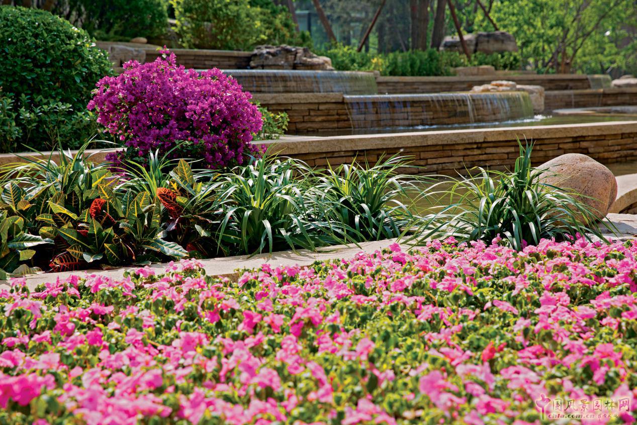 走進“龍湖·滟瀾新宸”系列深度報道:專訪北京龍湖孟軍