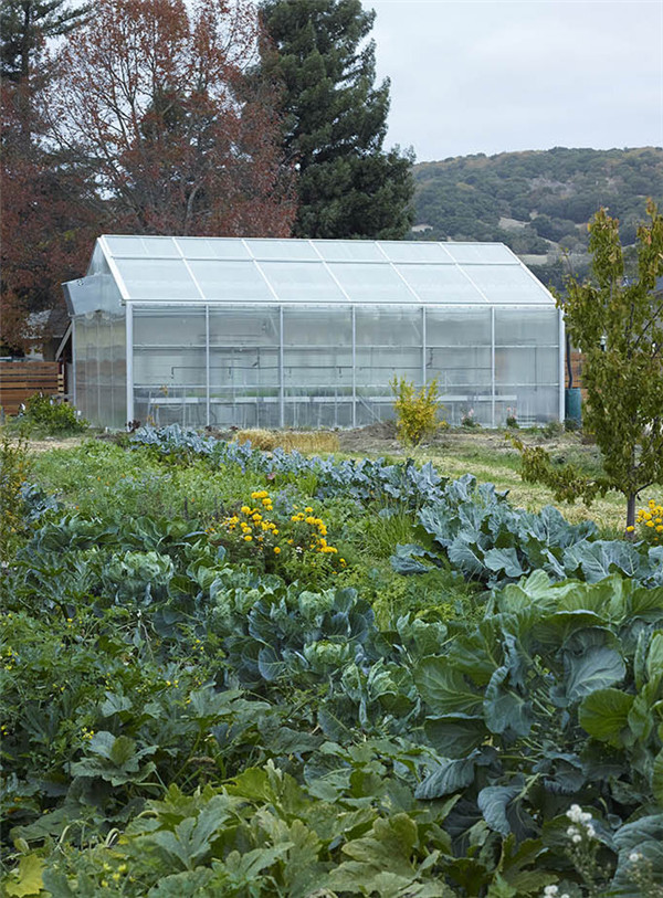 為成年自閉癥患者打造的全功能小區