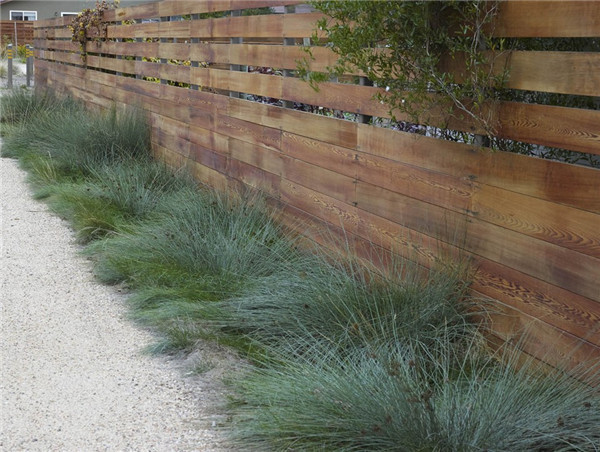 為成年自閉癥患者打造的全功能小區