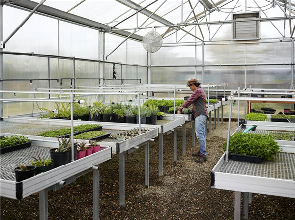 為成年自閉癥患者打造的全功能小區