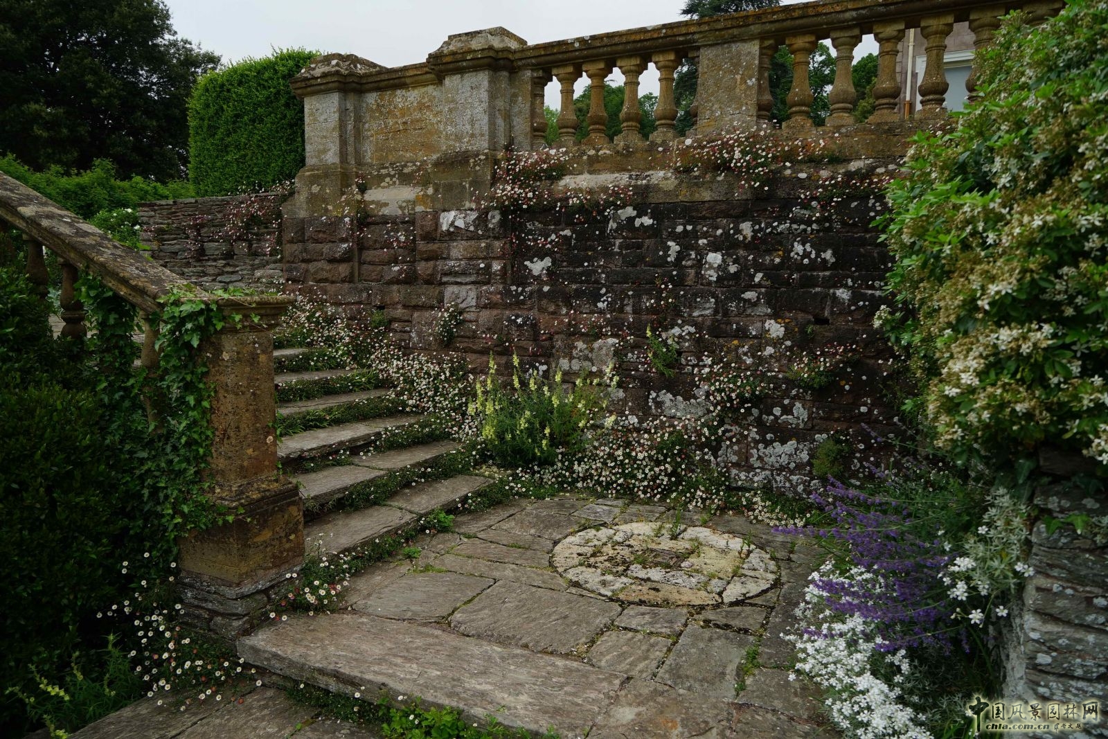俯拾皆是“杰基爾Style”——英國赫斯特庫姆花園