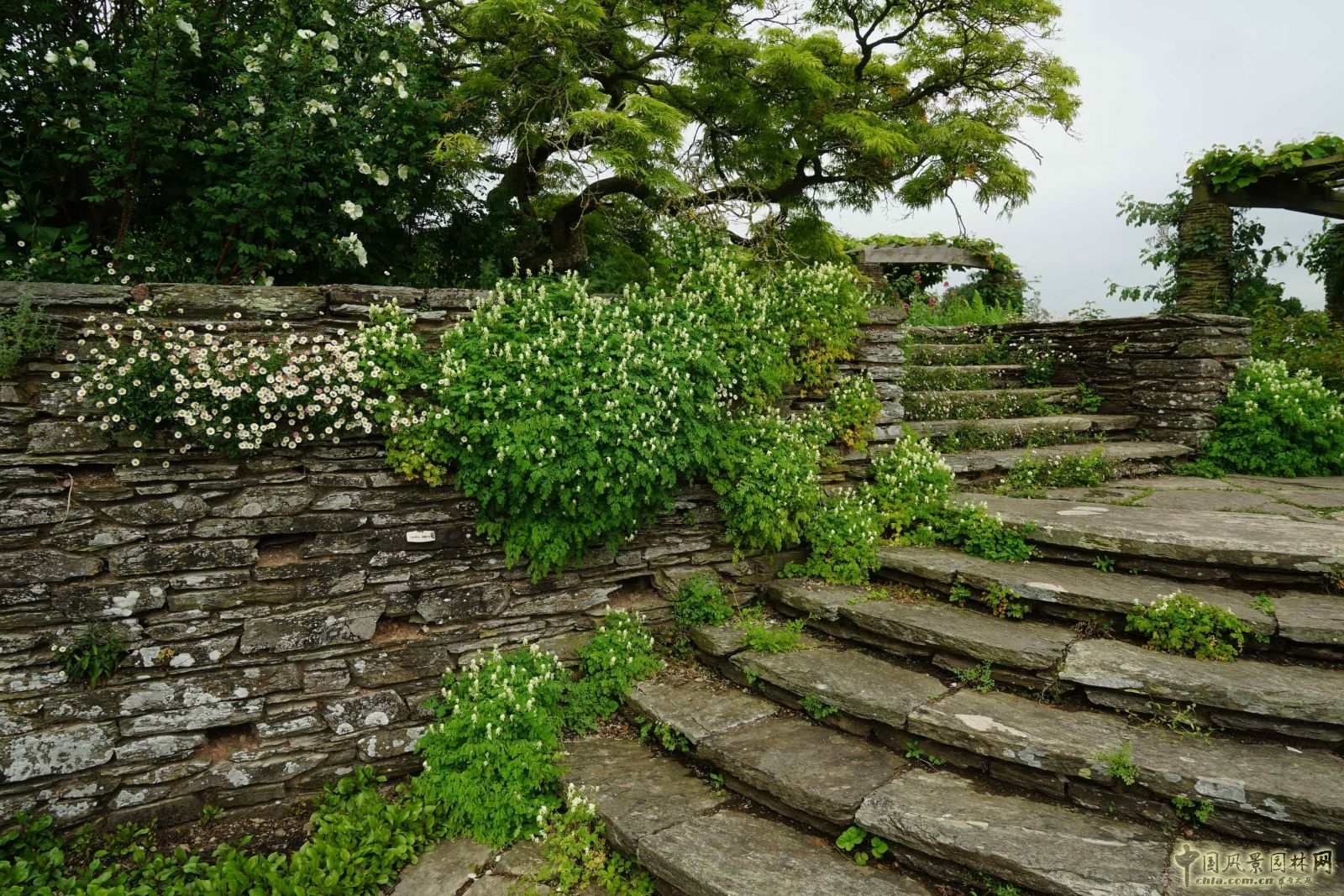 俯拾皆是“杰基爾Style”——英國赫斯特庫姆花園