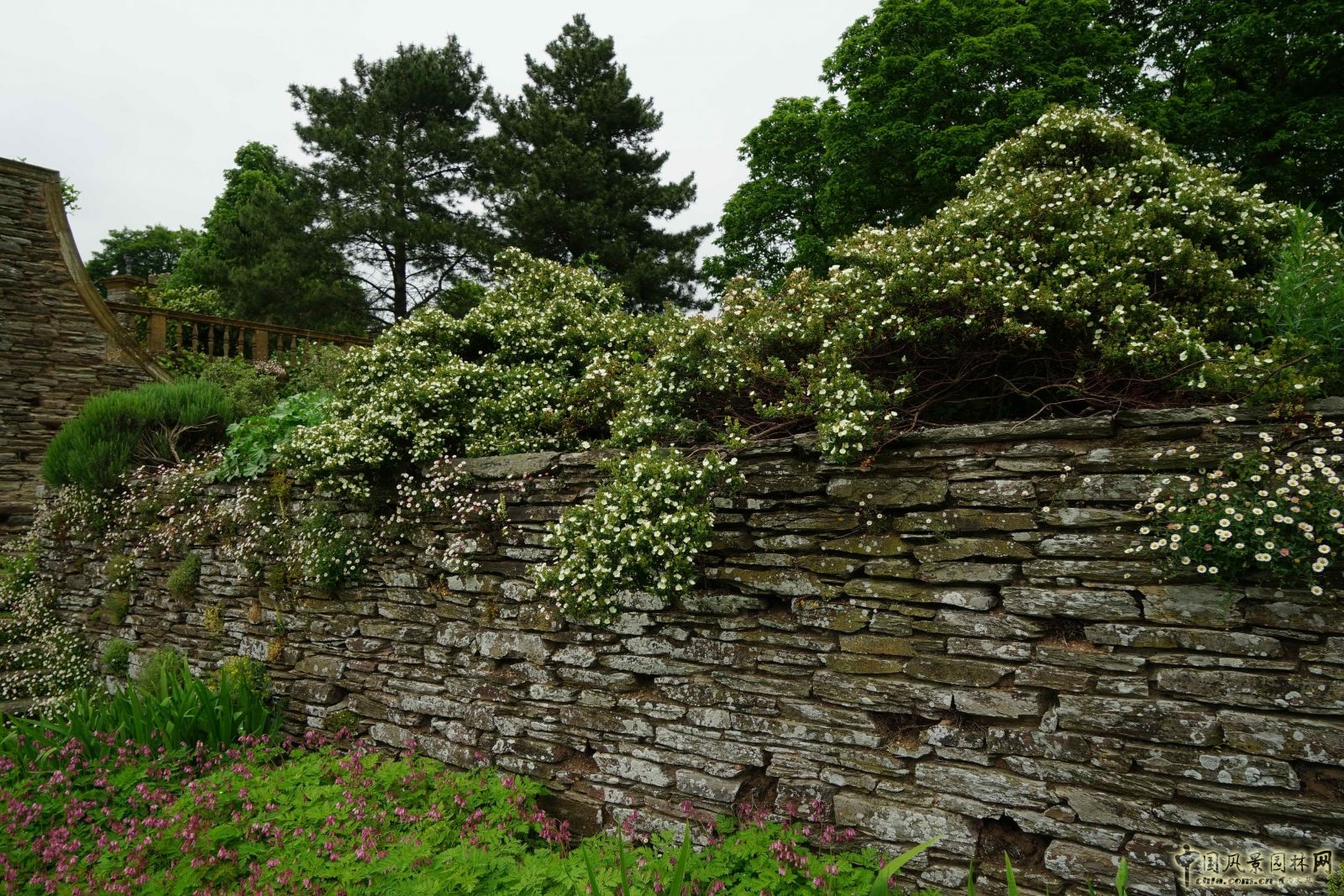 俯拾皆是“杰基爾Style”——英國赫斯特庫姆花園