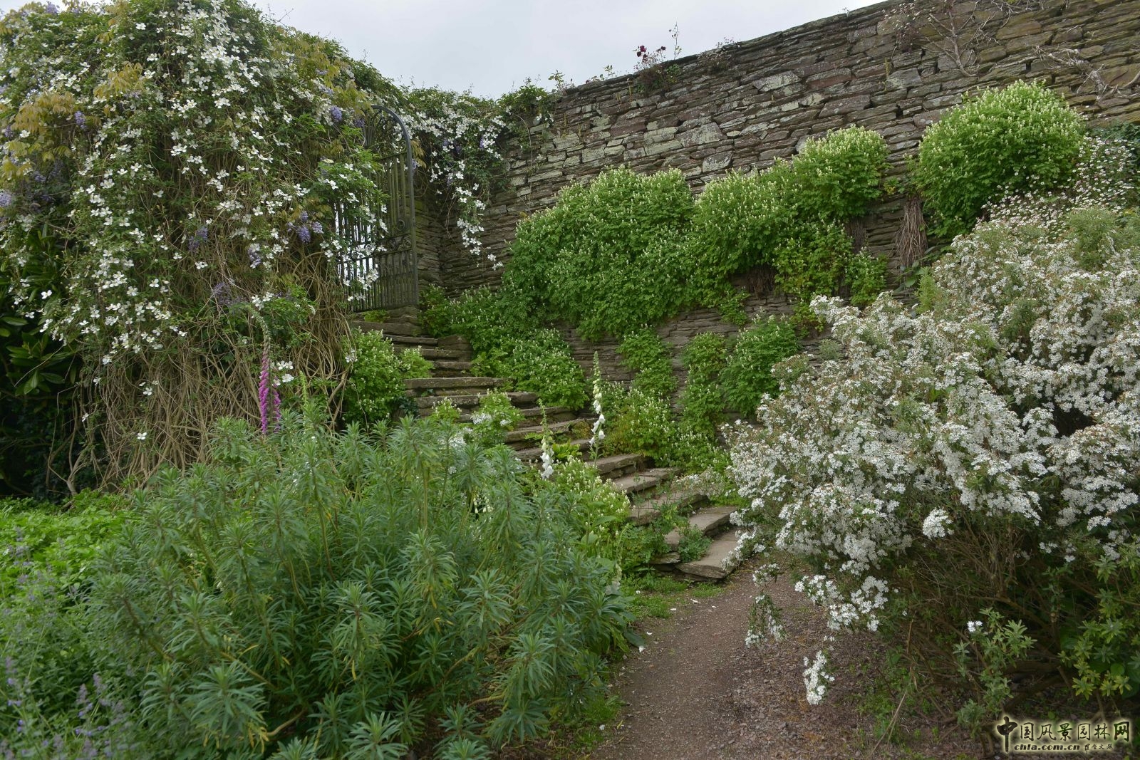 俯拾皆是“杰基爾Style”——英國赫斯特庫姆花園