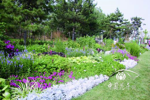 唐山世園會國際花境競賽獎項揭曉