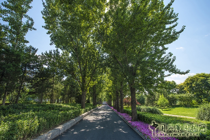 首創(chuàng)·天閱西山景觀: 大宅意境,典藏西山︱順景出品